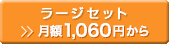��ž�֥ץ�� �顼�����åȡ�1,070��