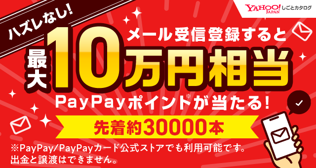 11/5は抽選で100％ポイント還元!要エントリー)(法人様宛限定) 日晴金属