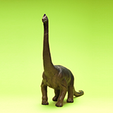 ティラノサウルスのように、全長が１３メートルの奴は大型ですか？