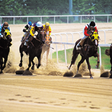 競馬で馬が意地でもゲートインしない場合失格になる等のルールはありますか？