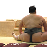 大相撲九州場所ですが
毎日定一で観戦している
着物姿の女性が気になります。あの方は誰ですか？！
毎日お着物の和服が違ってます。 