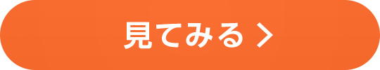 見てみる