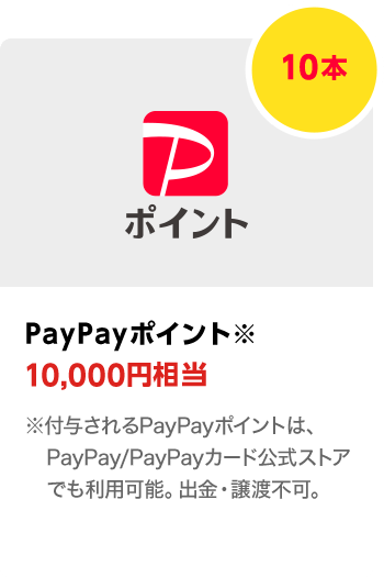 PayPayポイント　10,000円相当／10本　期間：2024年2月1日～2024年2月29日