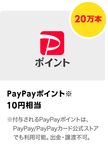 PayPayポイント　10円相当／10本　期間：2024年2月1日～2024年2月29日