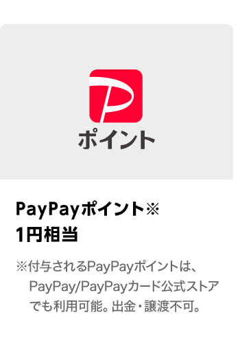 PayPayポイント　1円相当　期間：2024年2月1日～2024年2月29日