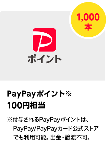 PayPayポイント　10,000円相当／10本　期間：2024年4月1日～2024年4月30日