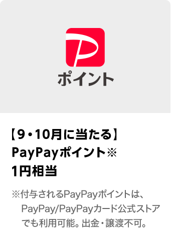 Yahoo!ショッピング\u3000SHPストアクーポン\u3000期間：102024年9月1日（日）～2024年月31日（木）