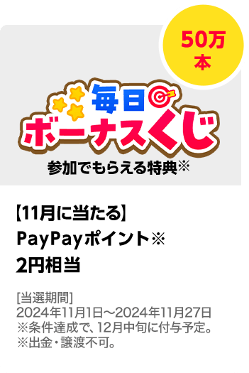 毎日ボーナスくじ 参加でもらえる特典\u3000PayPayポイント 2円相当／50万本\u3000期間：2024年11月1日（金）～2024年12月25日（水）
