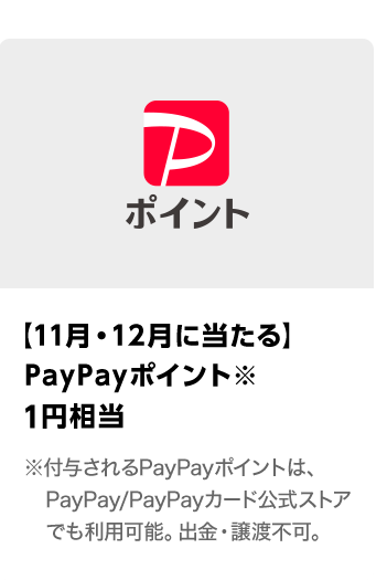 PayPayポイント\u30001円相当\u3000期間：2024年11月1日（金）～2024年12月25日（水）