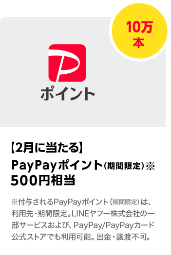 PayPayポイント（期間限定）500円相当　期間：2025年2月1日（土）～2025年3月31日（月）