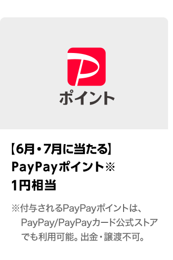 PayPayポイント（通常版）1円相当　期間：2025年6月1日（日）～2025年7月31日（木）