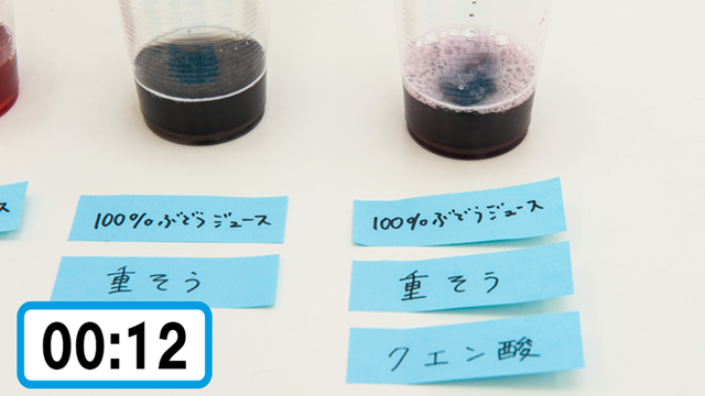 Pr 自由研究 1時間でまとめまで完成できる 小学生がやってみた Yahoo ニュース