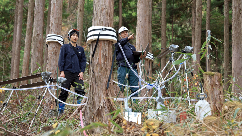 PR】「森の価値」解き明かせ 山の高齢化防止へ、鹿島と仁淀川町の挑戦