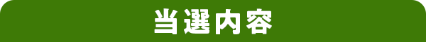 当選内容