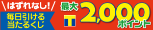 最大2,000ポイントが100人に当たる！ ハズレなしマルエツお買い物くじ