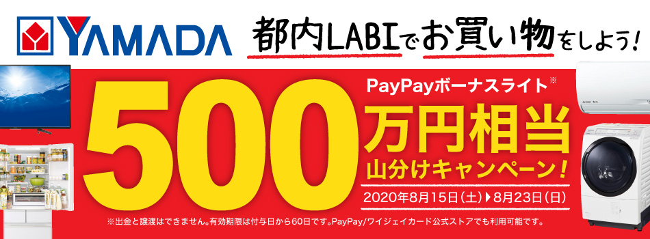 PayPayボーナスライト総額500万円相当を山分け！