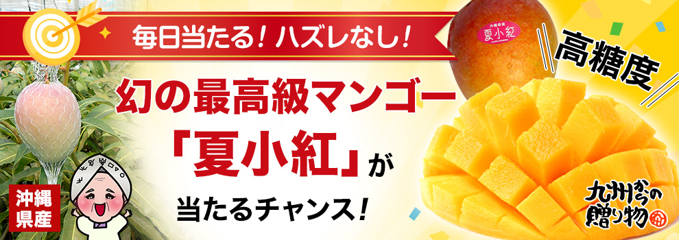 チャンスは毎日♪沖縄県産の最高級マンゴーや人気商品を半額で買えるお得なクーポンが当たる！