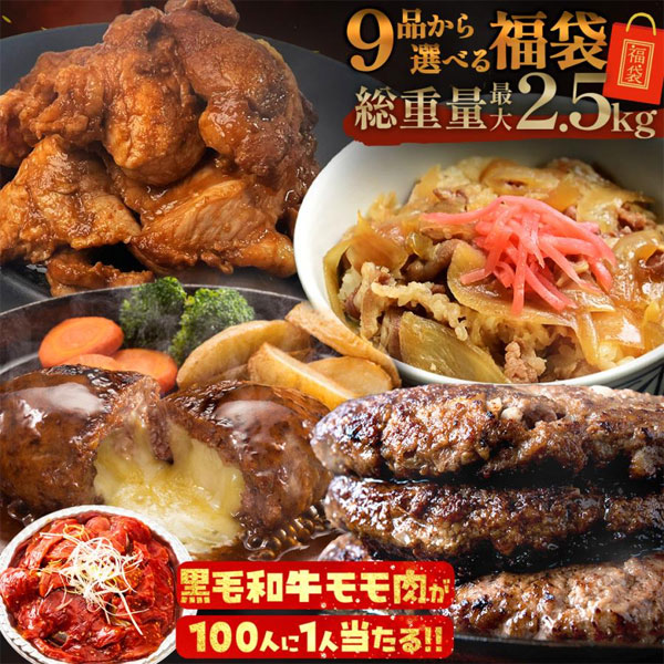 最大2.5kg 9品から選べる肉の福袋！