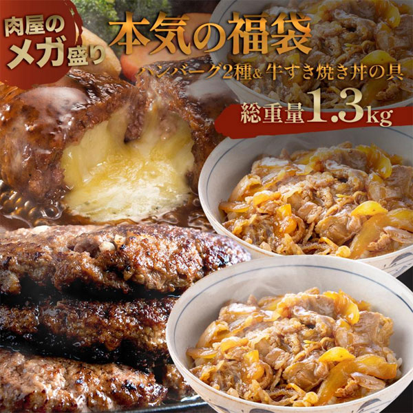 ハンバーグ 2種＆牛すき焼き丼の具セット