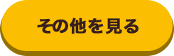 その他を見る
