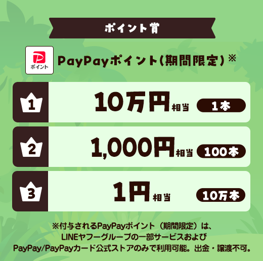 PayPayポイント