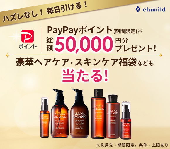 ハズレなし！　毎日引ける！　PayPayポイント（期間限...
