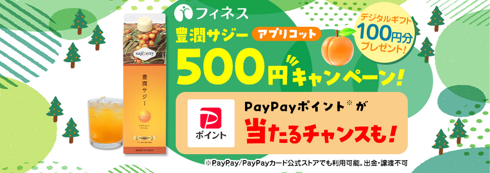 くじを引いて最大5,000円相当のPayPayポイントが当たるチャンス♪