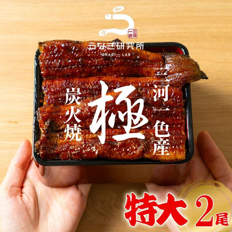うなぎ 蒲焼き【特大(160〜170g)】 2尾 国産 三河一色産 炭火手焼き 蒲焼 長焼き タレ付 お取り寄せ 土用の丑