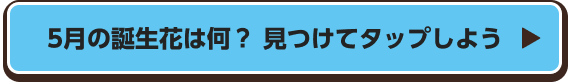 5月の誕生花は何？　見つけてタップしよう