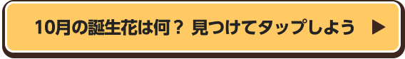 10月の誕生花は何？　見つけてタップしよう