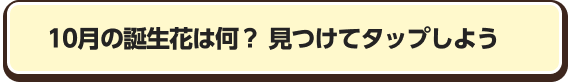 10月の誕生花は何？　見つけてタップしよう