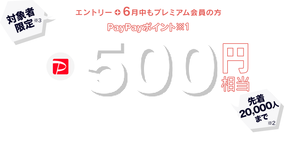 対象者限定エントリーすると6月にもらえるPayPayポイント※1 500円相当プレゼント ※1 出金と譲渡はできません。PayPay公式ストアでも利用可能。