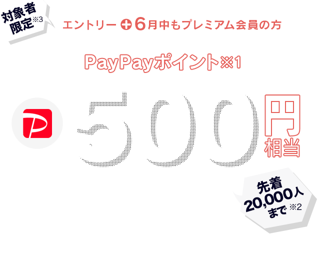 対象者限定エントリーすると6月にもらえるPayPayポイント※1 500円相当プレゼント ※1 出金と譲渡はできません。PayPay公式ストアでも利用可能。