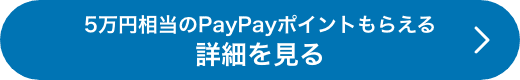 5万円相当のPayPayポイントもらえる詳細を見る