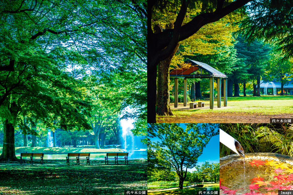 ※掲載の環境写真は2019年3月、10月に撮影したものです。※周辺環境は将来にわたり保証されるものではございません。