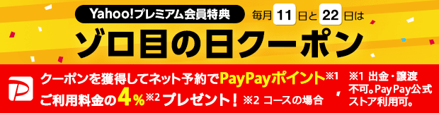 ゾロ目の日クーポン