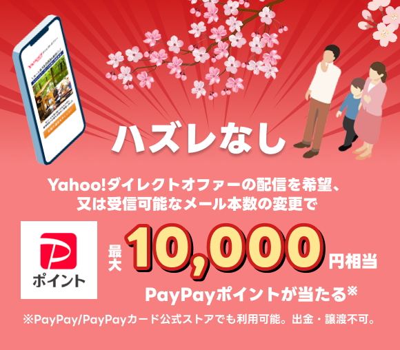 Yahoo!ダイレクトオファー PayPayポイントが最...