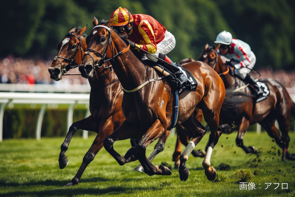 「競馬」で検索