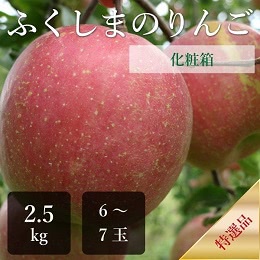 ふじりんご　特選品　2.5kg箱