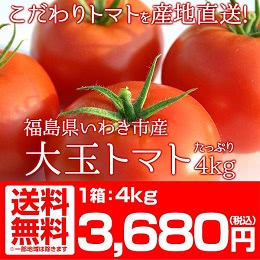 福島県産 大玉 トマト 4kg