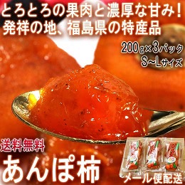 あんぽ柿 干し柿 約200g×3