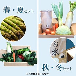 西会津ミネラル野菜セット