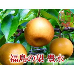 福島の完熟梨　豊水5kg