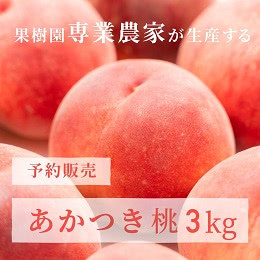 福島の桃 約3kg