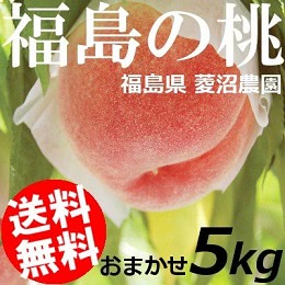 福島県の桃 おまかせ 約5kg