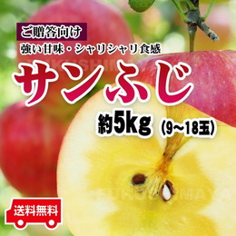 福島県産 ギフト プレゼント サンふじ リンゴ 5kg箱 (9〜18玉入) 発送時期：11月下旬頃〜1月中旬頃