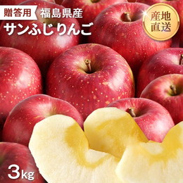 りんご サンふじ 福島県産 飯坂　3kg 贈答用　11月下旬より順次発送　 産地直送 ふくしま 福島　飯坂 人気　林檎 リンゴ 果物 フルーツ 送料無料 ギフト