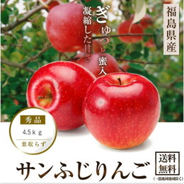 蜜入り　ふじりんご　特選品　4.5キロ箱(13玉〜18玉入)5100円＜化粧箱＞予約販売