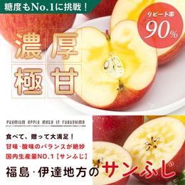 サンふじ5kg箱　 甘味・酸味・歯ごたえの三拍子が揃った人気品種 福島の極甘リンゴ！