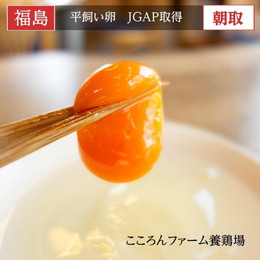 【こころんファーム養鶏場】 卵 平飼い卵 ここたま 30個 朝取 M L LL サイズ混合 JGAP 自家配合飼料 地下水 福島県